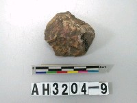 藏品(放射形石核)的圖片